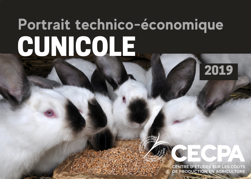 Informations complémentaires : PORTRAIT TECHNICO-ÉCONOMIQUE - CUNICOLE 2019